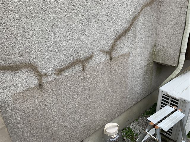コケの生えた外壁
