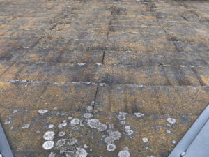 スレート　屋根　劣化　コケ　カビ