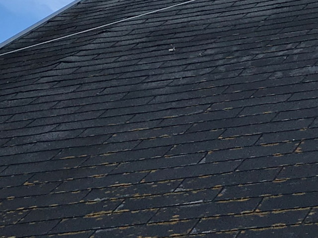 屋根の現場調査　　　　　　　　　　　　　　　　　　　　　　　　　　　　　　　　　　　　　　　　　　　　　　　　　　　　　　　　　　　　　　　　　　　　　　　　　　　　　　　　　　　　　　　　　　　　　　　　　　　　　　　　　　　　　　　　　　　　　　　　　　　　　　　　　　　　　　　　　　　　　　　　　　　　　　　　　　　　　　　　　　　　　　　　　　　　　　　　　　　　　　　　　　　　　　　　　　　　　　　　　　　　　　　　　　　　　　　　　　　　　　　　　　　　　　　　　　　　　　　　　　　　　　　　　　　　　　　　　　　　　　　　　　　　　　　　　　　　　　　　　　　　　　　　　　　　　　　　　　　　　　　　　　　　　　　　　　　　　　　　　　　　　　　　　　　　　　　　　　　　　　　　　　　　　　　　　　　　　　　　　　　　　　　　　　　　　　　　　　　　　　　　　　　　　　　　　　　　　　　　　　　　　　　　　　　　　　　　　　　　　　　　　　　　　　　　　　　　　　　　　　　　　　　　　　　　　　　　　　　　　　　　　　　　　　　　　　　　　　　　　　　　　　　　　　　　　　　　　　　　　　　　　　　　　　　　　　　　　　　　　　　　　　　　　　　　　　　　　　　　　　　　　　　　　　　　　　　　　　　　　　　　　　　　　　　　　　　　　　　　　　　　　　　　　　　　　　　　　　　　　　　　　　　　　　　　　　　　　　　　　　　　　　　　　　　　　　　　　　　　　　　　　　　　　　　　　　　　　　　　　　　　　　　　　　　　　　　　　　　　　　　　　　　　　　　　　　　　　　　　　　　　　　　　　　　　　　　　　　　　　　　　　　　　　　　　　　　　　　　　　　　　　　　　　　　　　　　　　　　　　　　　　　　　　　　　　　　　　　　　　　　　　　　　　　　　　　　　　　　　　　　　　　　　　　　　　　　　　　　　　　　　　　　　　　　　　　　　　　　　　　　　　　　　　　　　　　　　　　　　　　　　　　　　　　　　　　　　　　　　　　　　　　　　　　　　　　　　　　　　　　　　　　　　　　　　　　　　　　　　　　　　　　　　　　　　　　　　　　　　　　　　　　　　　　　　　　　　　　　　　　　　　　　　　　　　　　　　　　　　　　　　　　　　　　　　　　　　　　　　　　　　　　　　　　　　　　　　　　　　　　　　　　　　　　　　　　　　　　　　　　　　　　　　　　　　　　　　　　　　　　　　　　　　　　　　　　　　　　　　　　　　　　　　　　　　　　　　　　　　　　　　　　　　　　　　　　　　　　　　　　　　　　　　　　　　　　　　　　　　　　　　　　　　　　　　　　　　　　　　　　　　　　　　　　　　　　　　　　　　　　　　　　　　　　　　　　　　　　　　　　　　　　　　　　　　　　　　　　　　　　　　　　　　　　　　　　　　　　　　　　　　　　　　　　　　　　　　　　　　　　　　　　　　　　　　　　　　　　　　　　　　　　　　　　　　　　　　　　　　　　　　　　　　　　　　　　　　　　　　　　　　　　　　　　　　　　　　　　　　　　　　　　　　　　　　　　　　　　　　　　　　　　　　　　　　　　　　　　　　　　　　　　　　　　　　　　　　　　　　　　　　　　　　　　　　　　　　　　　　　　　　　　　　　　　　　　　　　　　　　　　　　　　　　　　　　　　　　　　　　　　　　　　　　　　　　　　　　　　　　　　　　　　　　　　　　　　　　　　　　　　　　　　　　　　　　　　　　　　　　　　　　　　　　　　　　　　　　　　　　　　　　　　　　　　　　　　　　　　　　　　　　　　　　　　　　　　　　　　　　　　　　　　　　　　　　　　　　　　　　　　　　　　　　　　　　　　　　　　　　　　　　　　　　　　　　　　　　　　　　　　　　　　　　　　　　　　　　　　　　　　　　　　　　　　　　　　　　　　　　　　　　　　　　　　　　　　　　　　　　　　　　　　　　　　　　　　　　　　　　　　　　　　　　　　　　　　　　　　　　　　　　　　　　　　　　　　　　　　　　　　　　　　　　　　　　　　　　　　　　　　　　　　　　　　　　　　　　　　　　　　　　　　　　　　　　　　　　　　　　　　　　　　　　　　　　　　　　　　　　　　　　　　　　　　　　　　　　　　　　　　　　　　　　　　　　　　　　　　　　　　　　　　　　　　　　　　　　　　　　　　　　　　　　　　　　　　　　　　　　　　　　　　　　　　　　　　　　　　　　　　　　　　　　　　　　　　　　　　　　　　　　　　　　　　　　　　　　　　　　　　　　　　　　　　　　　　　　　　　　　　　　　　　　　　　　　　　　　　　　　　　　　　　　　　　　　　　　　　　　　　　　　　　　　　　　　　　　　　　　　　　　　　　　　　　　　　　　　　　　　　　　　　　　　　　　　　　　　　　　　　　　　　　　　　　　　　　　　　　　　　　　　　　　　　　　　　　　　　　　　　　　　　　　　　　　　　　　　　　　　　　　　　　　　　　　　　　　　　　　　　　　　　　　　　　　　　　　　　　　　　　　　　　　　　　　　　　　　　　　　　　　　　　　　　　　　　　　　　　　　　　　　　　　　　　　　　　　　　　　　　　　　　　　　　　　　　　　　　　　　　　　　　　　　　　　　　　　　　　　　　　　　　　　　　　　　　　　　　　　　　　　　　　　　　　　　　　　　　　　　　　　　　　　　　　　　　　　　　　　　　　　　　　　　　　　　　　　　　　　　　　　　　　　　　　　　　　　　　　　　　　　　　　　　　　　　　　　　　　　　　　　　　　　　　　　　　　　　　　　　　　　　　　　　　　　　　　　　　　　　　　　　　　　　　　　　　　　　　　　　　　　　　　　　　　　　　　　　　　　　　　　　　　　　　　　　　　　　　　　　　　　　　　　　　　　　　　　　　　　　　　　　　　　　　　　　　　　　　　　　　　　　　　　　　　　　　　　　　　　　　　　　　　　　　　　　　　　　　　　　　　　　　　　　　　　　　　　　　　　　　　　　　　　　　　　　　　　　　　　　　　　　　　　　　　　　　　　　　　　　　　　　　　　　　　　　　　　　　　　　　　　　　　　　　　　　　　　　　　　　　　　　　　　　　　　　　　　　　　　　　　　　　　　　　　　　　　　　　　　　　　　　　　　　　　　　　　　　　　　　　　　　　　　　　　　　　　　　　　　　　　　　　　　　　　　　　　　　　　　　　　　　　　　　　　　　　　　　　　　　　　　　　　　　　　　　　　　　　　　　　　　　　　　　　　　　　　　　　　　　　　　　　　　　　　　　　　　　　　　　　　　　　　　　　　　　　　　　　　　　　　　　　　　　　　　　　　　　　　　　　　　　　　　　　　　　　　　　　　　　　　　　　　　　　　　　　　　　　　　　　　　　　　　　　　　　　　　　　　　　　　　　　　　　　　　　　　　　　　　　　　　　　　　　　　　　　　　　　　　　　　　　　　　　　　　　　　　　　　　　　　　　　　　　　　　　　　　　　　　　　　　　　　　　　　　　　　　　　　　　　　　　　　　　　　　　　　　　　　　　　　　　　　　　　　　　　　　　　　　　　　　　　　　　　　　　　　　　　　　　　　　　　　　　　　　　　　　　　　　　　　　　　　　　　　　　　　　　　　　　　　　　　　　　　　　　　　　　　　　　　　　　　　　　　　　　　　　　　　　　　　　　　　　　　　　　　　　　　　　　　　　　　　　　　　　　　　　　　　　　　　　　　　　　　　　　　　　　　　　　　　　　　　　　　　　　　　　　　　　　　　　　　　　　　　　　　　　　　　　　　　　　　　　　　　　　　　　　　　　　　　　　　　　　　　　　　　　　　　　　　　　　　　　　　　　　　　　　　　　　　　　　　　　　　　　　　　　　　　　　　　　　　　　　　　　　　　　　　　　　　　　　　　　　　　　　　　　　　　　　　　　　　　　　　　　　　　　　　　　　　　　　　　　　　　　　　　　　　　　　　　　　　　　　　　　　　　　　　　　　　　　　　　　　　　　　　　　　　　　　　　　　　　　　　　　　　　　　　　　　　　　　　　　　　　　　　　　　　　　　　　　　　　　　　　　　　　　　　　　　　　　　　　　　　　　　　　　　　　　　　　　　　　　　　　　　　　　　　　　　　　　　　　　　　　　　　　　　　　　　　　　　　　　　　　　　　　　　　　　　　　　　　　　　　　　　　　　　　　　　　　　　　　　　　　　　　　　　　　　　　　　　　　　　　　　　　　　　　　　　　　　　　　　　　　　　　　　　　　　　　　　　　　　　　　　　　　　　　　　　　　　　　　　　　　　　　　　　　　　　　　　　　　　　　　　　　　　　　　　　　　　　　　　　　　　　　　　　　　　　　　　　　　　　　　　　　　　　　　　　　　　　　　　　　　　　　　　　　　　　　　　　　　　　　　　　　　　　　　　　　　　　　　　　　　　　　　　　　　　　　　　　　　　　　　　　　　　　　　　　　　　　　　　　　　　　　　　　　　　　　　　　　　　　　　　　　　　　　　　　　　　　　　　　　　　　　　　　　　　　　　　　　　　　　　　　　　　　　　　　　　　　　　　　　　　　　　　　　　　　　　　　　　　　　　　　　　　　　　　　　　　　　　　　　　　　　　　　　　　　　　　　　　　　　　　　　　　　　　　　　　　　　　　　　　　　　　　　　　　　　　　　　　　　　　　　　　　　　　　　　　　　　　　　　　　　　　　　　　　　　　　　　　　　　　　　　　　　　　　　　　　　　　　　　　　　　　　　　　　　　　　　　　　　　　　　　　　　　　　　　　　　　　　　　　　　　　　　　　　　　　　　　　　　　　　　　　　　　　　　　　　　　　　　　　　　　　　　　　　　　　　　　　　　　　　　　　　　　　　　　　　　　　　　　　　　　　　　　　　　　　　　　　　　　　　　　　　　　　　　　　　　　　　　　　　　　　　　　　　　　　　　　　　　　　　　　　　　　　　　　　　　　　　　　　　　　　　　　　　　　　　　　　　　　　　　　　　　　　　　　　　　　　　　　　　　　　　　　　　　　　　　　　　　　　　　　　　　　　　　　　　　　　　　　　　　　　　　　　　　　　　　　　　　　　　　　　　　　　　　　　　　　　　　　　　　　　　　　　　　　　　　　　　　　　　　　　　　　　　　　　　　　　　　　　　　　　　　　　　　　　　　　　　　　　　　　　　　　　　　　　　　　　　　　　　　　　　　　　　　　　　　　　　　　　　　　　　　　　　　　　　　　　　　　　　　　　　　　　　　　　　　　　　　　　　　　　　　　　　　　　　　　　　　　　　　　　　　　　　　　　　　　　　　　　　　　　　　　　　　　　　　　　　　　　　　　　　　　　　　　　　　　　　　　　　　　　　　　　　　　　　　　　　　　　　　　　　　　　　　　　　　　　　　　　　　　　　　　　　　　　　　　　　　　　　　　　　　　　　　　　　　　　　　　　　　　　　　　　　　　　　　　　　　　　　　　　　　　　　　　　　　　　　　　　　　　　　　　　　　　　　　　　　　　　　　　　　　　　　　　　　　　　　　　　　　　　　　　　　　　　　　　　　　　　　　　　　　　　　　　　　　　　　　　　　　　　　　　　　　　　　　　　　　　　　　　　　　　　　　　　　　　　　　　　　　　　　　　　　　　　　　　　　　　　　　　　　　　　　　　　　　　　　　　　　　　　　　　　　　　　　　　　　　　　　　　　　　　　　　　　　　　　　　　　　　　　　　　　　　　　　　　　　　　　　　　　　　　　　　　　　　　　　　　　　　　　　　　　　　　　　　　　　　　　　　　　　　　　　　　　　　　　　　　　　　　　　　　　　　　　　　　　　　　　　　　　　　　　　　　　　　　　　　　　　　　　　　　　　　　　　　　　　　　　　　　　　　　　　　　　　　　　　　　　　　　　　　　　　　　　　　　　　　　　　　　　　　　　　　　　　　　　　　　　　　　　　　　　　　　　　　　　　　　　　　　　　　　　　　　　　　　　　　　　　　　　　　　　　　　　　　　　　　　　　　　　　　　　　　　　　　　　　　　　　　　　　　　　　　　　　　　　　　　　　　　　　　　　　　　　　　　　　　　　　　　　　　　　　　　　　　　　　　　　　　　　　　　　　　　　　　　　　　　　　　　　　　　　　　　　　　　　　　　　　　　　　　　　　　　　　　　　　　　　　　　　　　　　　　　　　　　　　　　　　　　　　　　　　　　　　　　　　　　　　　　　　　　　　　　　　　　　　　　　　　　　　　　　　　　　　　　　　　　　　　　　　　　　　　　　　　　　　　　　　　　　　　　　　　　　　　　　　　　　　　　　　　　　　　　　　　　　　　　　　　　　　　　　　　　　　　　　　　　　　　　　　　　　　　　　　　　　　　　　　　　　　　　　　　　　　　　　　　　　　　　　　　　　　　　　　　　　　　　　　　　　　　　　　　　　　　　　　　　　　　　　　　　　　　　　　　　　　　　　　　　　　　　　　　　　　　　　　　　　　　　　　　　　　　　　　　　　　　　　　　　　　　　　　　　　　　　　　　　　　　　　　　　　　　　　　　　　　　　　　　　　　　　　　　　　　　　　　　　　　　　　　　　　　　　　　　　　　　　　　　　　　　　　　　　　　　　　　　　　　　　　　　　　　　　　　　　　　　　　　　　　　　　　　　　　　　　　　　　　　　　　　　　　　　　　　　　　　　　　　　　　　　　　　　　　　　　　　　　　　　　　　　　　　　　　　　　　　　　　　　　　　　　　　　　　　　　　　　　　　　　　　　　　　　　　　　　　　　　　　　　　　　　　　　　　　　　　　　　　　　　　　　　　　　　　　　　　　　　　　　　　　　　　　　　　　　　　　　　　　　　　　　　　　　　　　　　　　　　　　　　　　　　　　　　　　　　　　　　　　　　　　　　　　　　　　　　　　　　　　　　　　　　　　　　　　　　　　　　　　　　　　　　　　　　　　　　　　　　　　　　　　　　　　　　　　　　　　　　　　　　　　　　　　　　　　　　　　　　　　　　　　　　　　　　　　　　　　　　　　　　　　　　　　　　　　　　　　　　　　　　　　　　　　　　　　　　　　　　　　　　　　　　　　　　　　　　　　　　　　　　　　　　　　　　　　　　　　　　　　　　　　　　　　　　　　　　　　　　　　　　　　　　　　　　　　　　　　　　　　　　　　　　　　　　　　　　　　　　　　　　　　　　　　　　　　　　　　　　　　　　　　　　　　　　　　　　　　　　　　　　　　　　　　　　　　　　　　　　　　　　　　　　　　　　　　　　　　　　　　　　　　　　　　　　　　　　　　　　　　　　　　　　　　　　　　　　　　　　　　　　　　　　　　　　　　　　　　　　　　　　　　　　　　　　　　　　　　　　　　　　　　　　　　　　　　　　　　　　　　　　　　　　　　　　　　　　　　　　　　　　　　　　　　　　　　　　　　　　　　　　　　　　　　　　　　　　　　　　　　　　　　　　　　　　　　　　　　　　　　　　　　　　　　　　　　　　　　　　　　　　　　　　　　　　　　　　　　　　　　　　　　　　　　　　　　　　　　　　　　　　　　　　　　　　　　　　　　　　　　　　　　　　　　　　　　　　　　　　　　　　　　　　　　　　　　　　　　　　　　　　　　　　　　　　　　　　　　　　　　　　　　　　　　　　　　　　　　　　　　　　　　　　　　　　　　　　　　　　　　　　　　　　　　　　　　　　　　　　　　　　　　　　　　　　　　　　　　　　　　　　　　　　　　　　　　　　　　　　　　　　　　　　　　　　　　　　　　　　　　　　　　　　　　　　　　　　　　　　　　　　　　　　　　　　　　　　　　　　　　　　　　　　　　　　　　　　　　　　　　　　　　　　　　　　　　　　　　　　　　　　　　　　　　　　　　　　　　　　　　　　　　　　　　　　　　　　　　　　　　　　　　　　　　　　　　　　　　　　　　　　　　　　　　　　　　　　　　　　　　　　　　　　　　　　　　　　　　　　　　　　　　　　　　　　　　　　　　　　　　　　　　　　　　　　　　　　　　　　　　　　　　　　　　　　　　　　　　　　　　　　　　　　　　　　　　　　　　　　　　　　　　　　　　　　　　　　　　　　　　　　　　　　　　　　　　　　　　　　　　　　　　　　　　　　　　　　　　　　　　　　　　　　　　　　　　　　　　　　　　　　　　　　　　　　　　　　　　　　　　　　　　　　　　　　　　　　　　　　　　　　　　　　　　　　　　　　　　　　　　　　　　　　　　　　　　　　　　　　　　　　　　　　　　　　　　　　　　　　　　　　　　　　　　　　　　　　　　　　　　　　　　　　　　　　　　　　　　　　　　　　　　　　　　　　　　　　　　　　　　　　　　　　　　　　　　　　　　　　　　　屋根の現場調査　　　　　　　　　　　