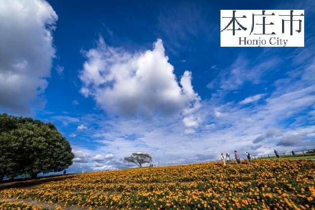 本庄市
