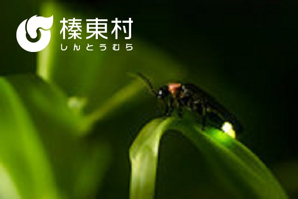 北群馬郡（榛東村、吉岡町）