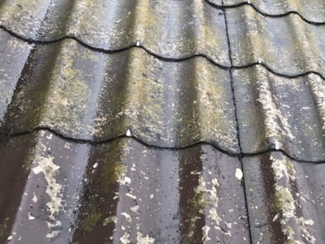 屋根から雨漏り