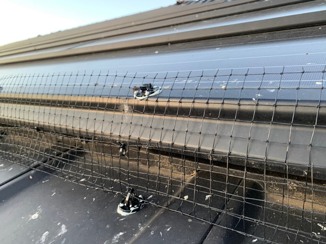 屋根　太陽光　鳥害対策　鳥よけネット