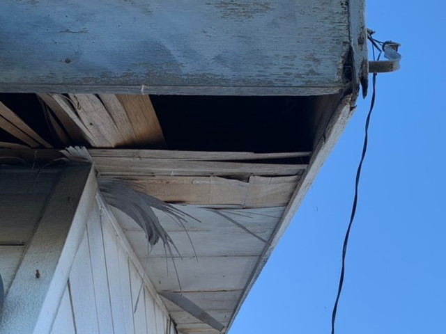 トタン屋根　現地調査　軒天井　劣化