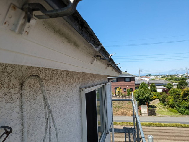 玉村町　雨樋　雹害　火災保険