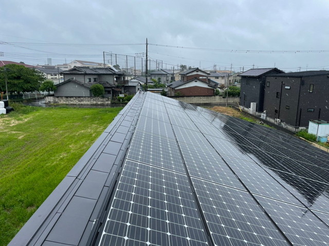 鳥害無料調査