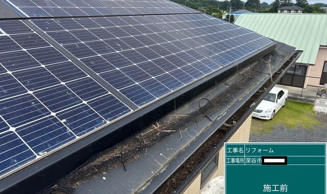 鳥除けネット