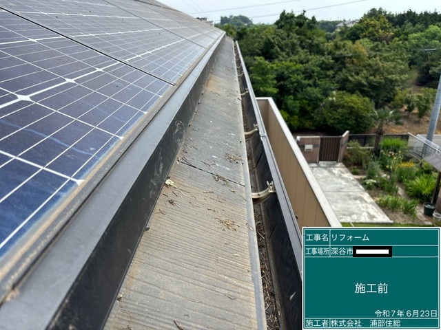 鳥除けネット