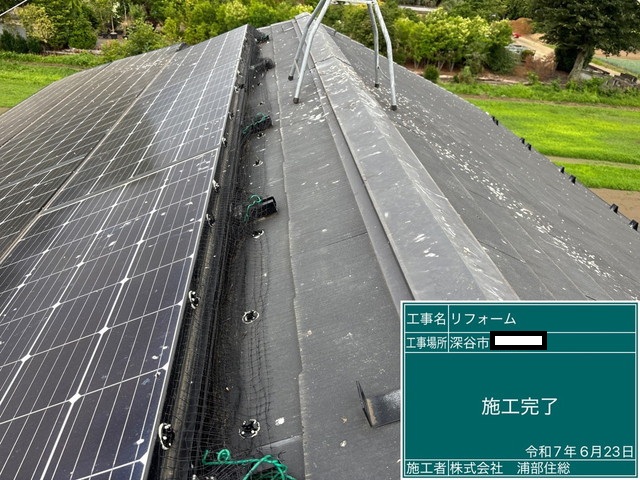 鳥除けネット