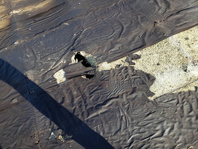 みどり市 hさま