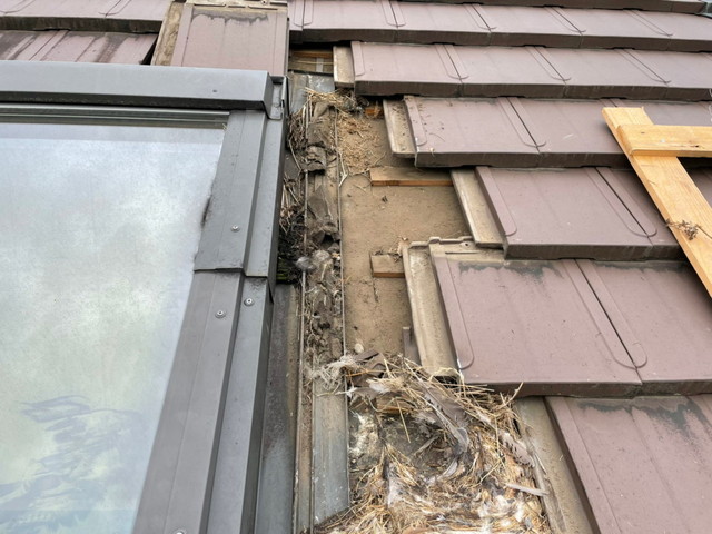 みどり市　h様邸