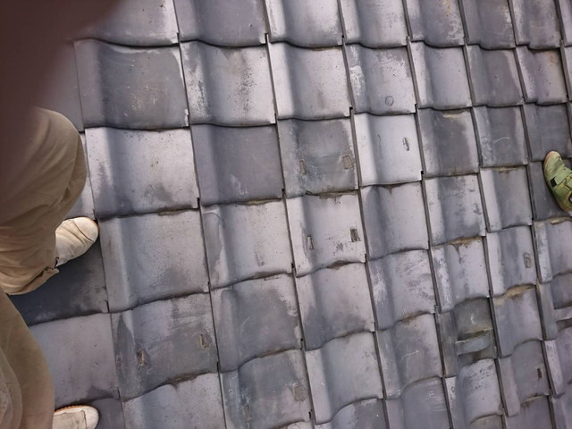 群馬県、強風、自然災害、火災保険