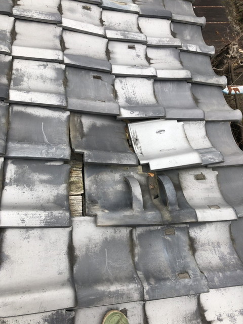 群馬県、強風、自然災害、火災保険